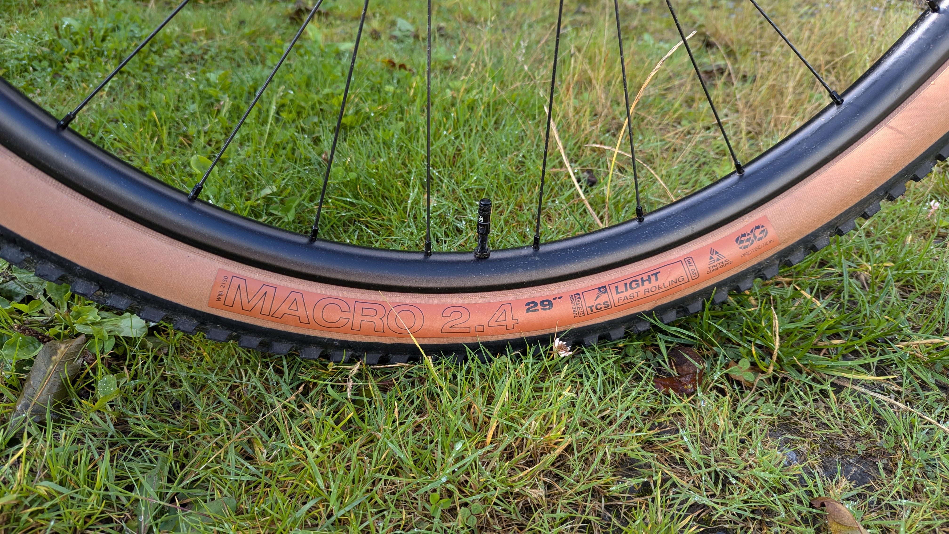 WTB Macro tyre review - Cycling News | off-road.cc